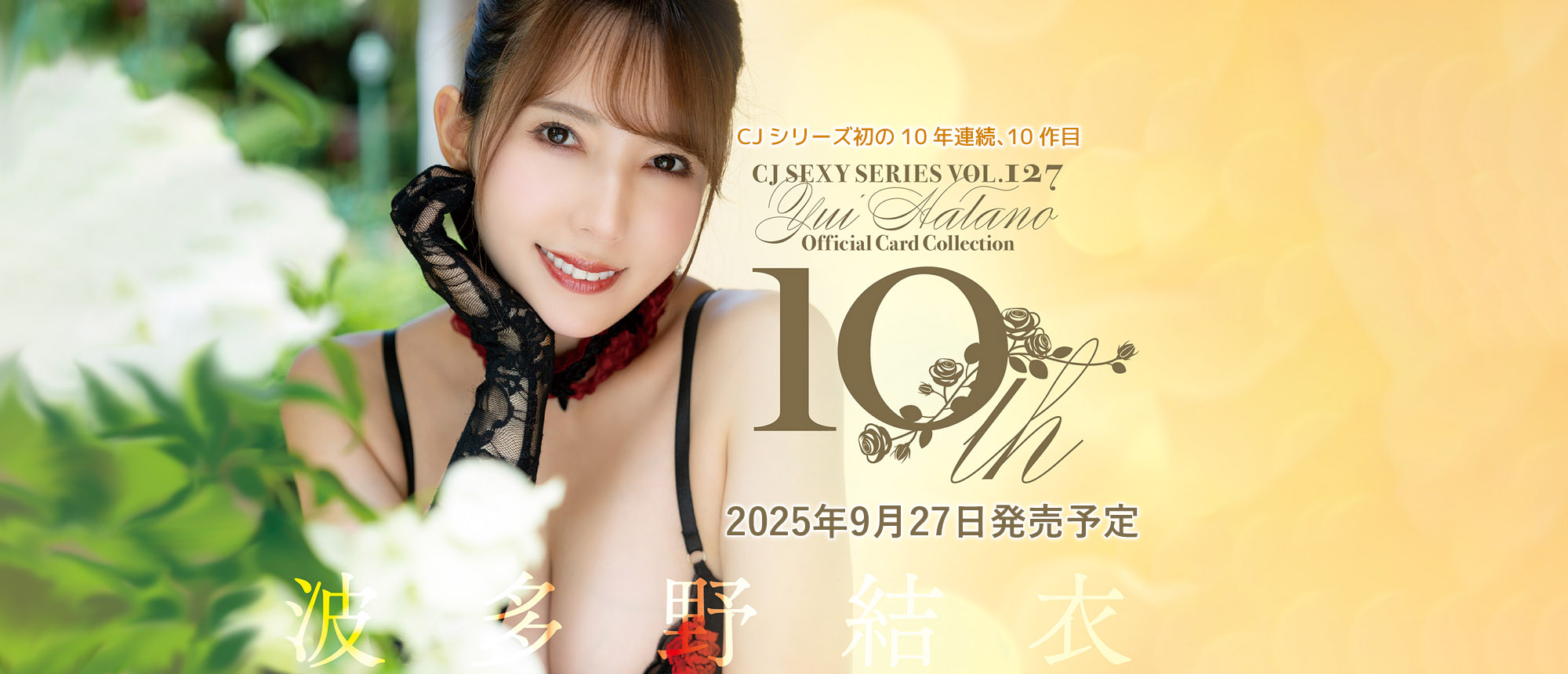 波多野結衣 ～10th～